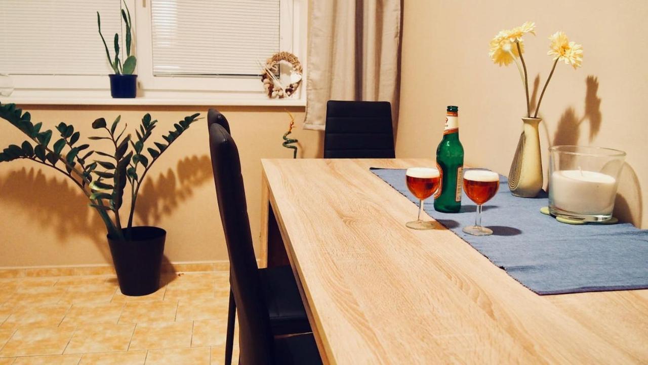 Cozy Apartment At River Labe Near Center And Train Ústí nad Labem Buitenkant foto